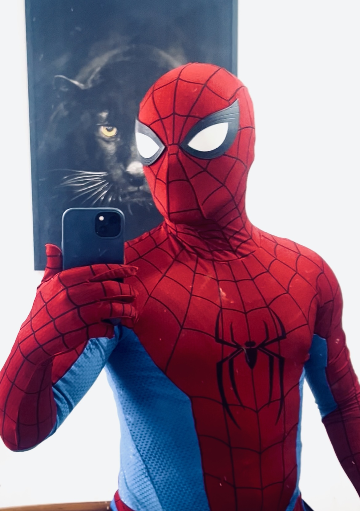 Traje BND (Sem texturização das teias)